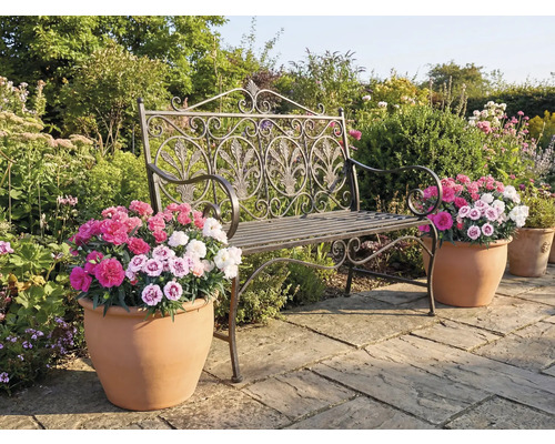 Záhradná scéna s dekoratívnou kovovou lavičkou a kvetináčmi s farebnými kvetmi