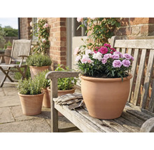 Terakotový kvetináč s klinčekmi na drevenej lavici v záhrade.