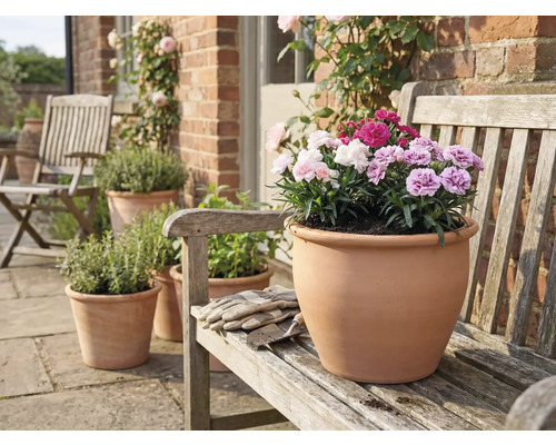 Terakotový kvetináč s klinčekmi na drevenej lavici v záhrade.