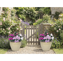 Záhradná scéna s dvoma osadenými kvetináčmi a drevenou bránkou