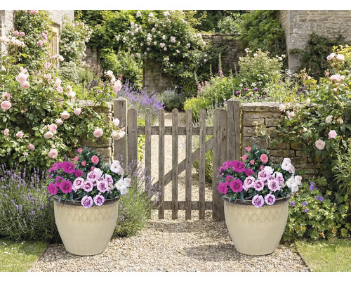 Záhradná scéna s dvoma osadenými kvetináčmi a drevenou bránkou