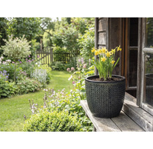 Žlté narcisy v štruktúrovanom kvetináči na drevenej doske pred záhradnou krajinou