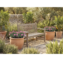 Záhradný priestor s drevenou lavicou a kvetináčmi