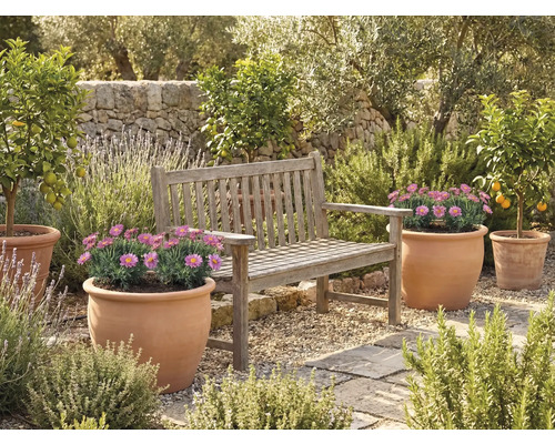 Záhradný priestor s drevenou lavicou a kvetináčmi
