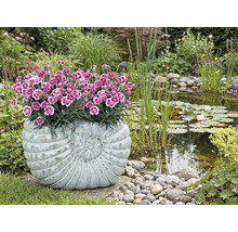 Záhradná scéna s rybníkom a osadenou kvetinovou nádobou v tvare slimáka