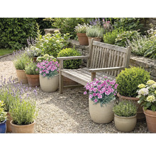 Záhrada s drevenou lavicou, kvetmi a rastlinami v kvetináčoch