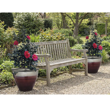 Drevená záhradná lavica s dvoma črepníkovými rastlinami v záhrade