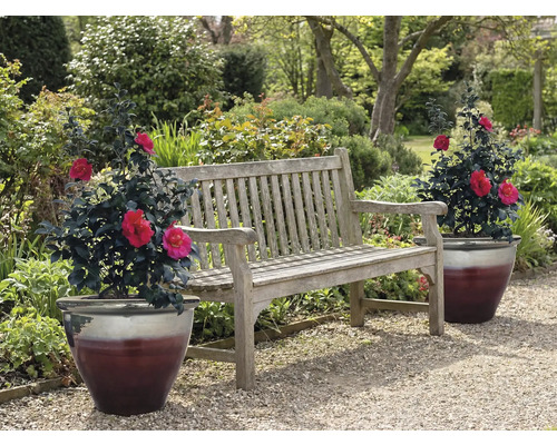 Drevená záhradná lavica s dvoma črepníkovými rastlinami v záhrade