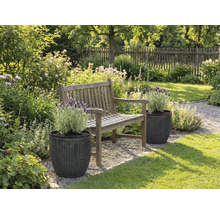 Záhradná krajina s drevenou lavicou a rastlinami v štruktúrovaných kvetináčoch