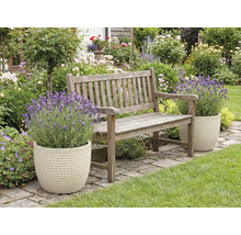 Záhrada s drevenou lavičkou a levanduľou v kvetináčoch