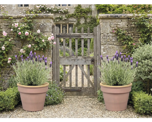 Záhrada s kamennou bránou, ružami, levanduľou v kvetináčoch a štrkovou cestou