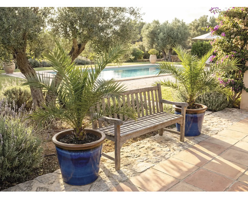 Záhradná scéna s drevenou lavicou a datľovými palmami v kvetináčoch pri bazéne