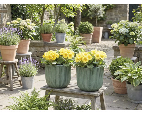 Dekoratívna záhradná scéna so žltými kvetmi v kvetináčoch