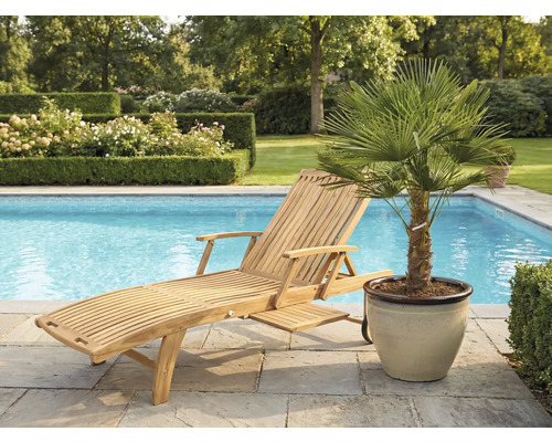 Drevené ležadlo vedľa bazéna a palma v kvetináči