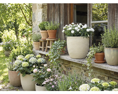 Kvetinové aranžmán s črepníkovými rastlinami vonku