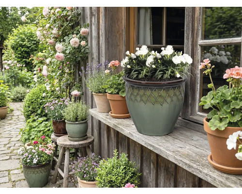Dekoratívna záhrada s kvetmi a rastlinami v kvetináčoch pred domom.