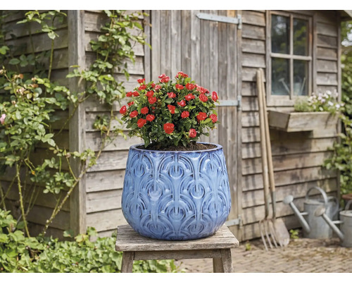 Dekoratívny kvetináč s červenou ružou na drevenej stoličke pred záhradnou chatkou.