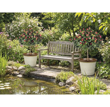 Záhrada s jazierkom, lavičkou a dvoma ružovými kríkmi v kvetináčoch