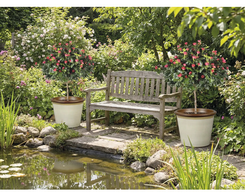 Záhrada s jazierkom, lavičkou a dvoma ružovými kríkmi v kvetináčoch