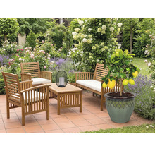 Záhradný nábytok z dreva s citrónovníkom v kvetináči na terase