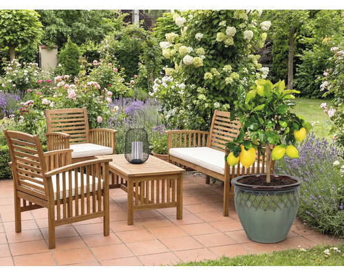 Záhradný nábytok z dreva s citrónovníkom v kvetináči na terase