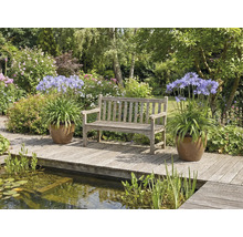 Záhradná scéna s drevenou lavičkou, agapanty v kvetináčoch a jazierkom
