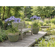 Záhradná scéna s lavičkou, jazierkom a rastlinami v kvetináčoch