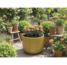 Záhrada s kvetmi v kvetináčoch a hrantíkoch.