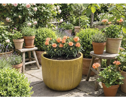 Záhrada s kvetmi v kvetináčoch a hrantíkoch.