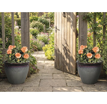 Dekoratívny záhradný chodník s dvoma kvetináčmi a záhradnou bránou