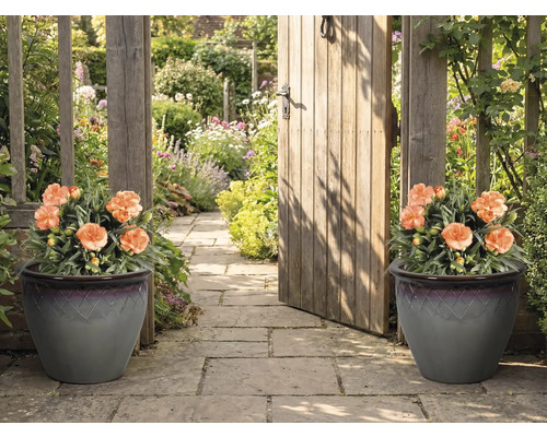 Dekoratívny záhradný chodník s dvoma kvetináčmi a záhradnou bránou