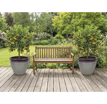 Záhrada s drevenou lavičkou a dvoma mandarínkovníkmi v kvetináčoch na drevenej terase.