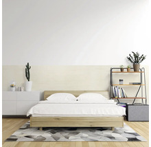 Svetlá spálňa s drevenou posteľou, regálom na knihy a komodou pre usporiadané prostredie.