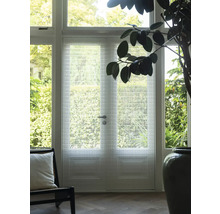 Interiér s dverami so sklenenou štruktúrou, kreslom a izbovou rastlinou