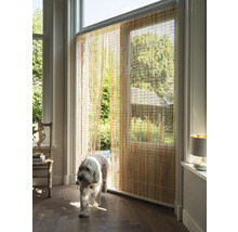 Pohľad do izby s korálkovým závesom a psom