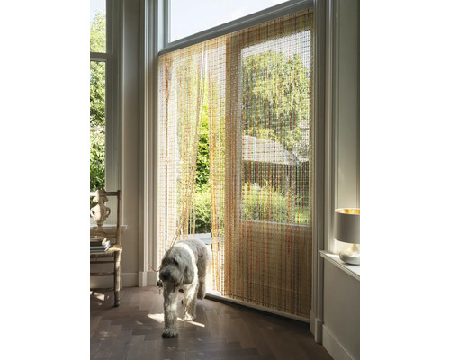 Pohľad do izby s korálkovým závesom a psom