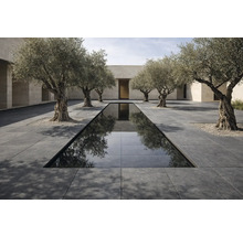 Vonkajší priestor s vodnou nádržou, kamennými dlaždicami a olivovníkmi
