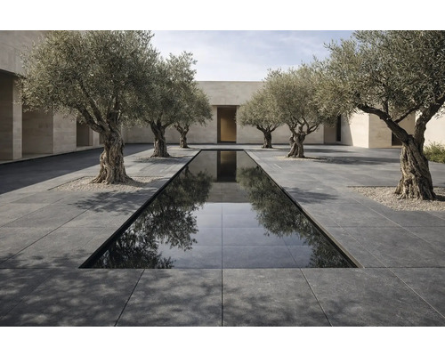 Vonkajší priestor s vodnou nádržou, kamennými dlaždicami a olivovníkmi