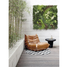 Scéna s kreslom, stolom, okrúhlym kobercom a zeleným nástenným panelom na terase