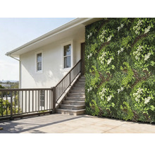 Stena domu s vertikálnou záhradou a schodiskom