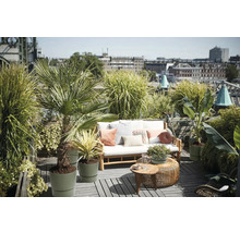 Strešná terasa s drevenou pohovkou, vankúšmi, okrúhlymi odkladacími stolíkmi a rôznymi rastlinami v kvetináčoch, ako sú palmy a okrasné trávy.