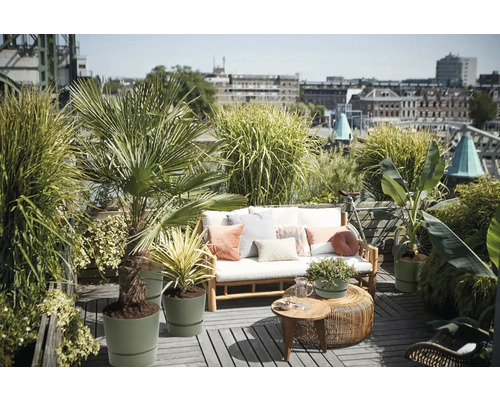 Strešná terasa s drevenou pohovkou, vankúšmi, okrúhlymi odkladacími stolíkmi a rôznymi rastlinami v kvetináčoch, ako sú palmy a okrasné trávy.