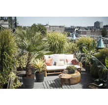 Slnečná strešná terasa s drevenou pohovkou, bielymi poduškami a rôznymi rastlinami v kvetináčoch ako palmy a trávy pred panorámou mesta.