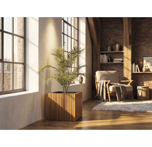 Štvorcový drevený kvetináč s vertikálnymi lamelami a izbovou rastlinou vo svetlej obývacej izbe s tehlovou stenou a veľkými oknami.