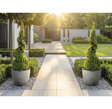 Moderná svetlá záhrada s kamenným chodníkom, špirálovito tvarovanými drevinami v okrúhlych kvetináčoch, drevenou terasou a trávnikom.