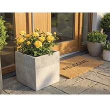 Štvorcový kvetináč v betónovom vzhľade so žltými ružami pri vchode do domu vedľa rohožky Welcome na kamennej dlažbe.