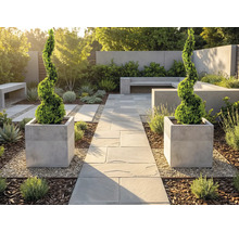 Moderná, svetlá záhrada s kamenným chodníkom, dvoma špirálovitými buxusmi v hranatých kvetináčoch, betónovými lavicami a štrkom.