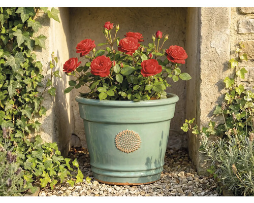 Svetlozelený keramický kvetináč s kvetinovým emblémom, osadený červenými ružami, pred kamenným múrom s brečtanom.