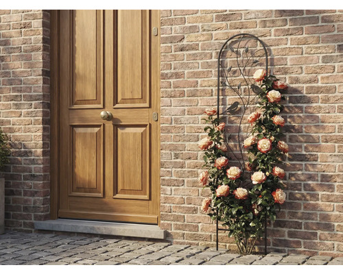 Kovová mriežka na popínavé rastliny s motívom vtákov a listov, s popínavými ružami pri tehlovej stene vedľa drevených dverí.