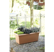 Obdĺžnikový plastový kvetináč v terakotovej farbe na terase, vysadený bylinkami a šalátom pred dekoratívnym kovovým plotom.